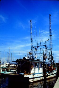 Biloxi Shrimp Boat