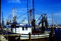 Biloxi Shrimp Boat