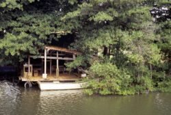 A Skiff in Hawaii