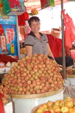 Fruit Seller
