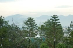 Overlooking Luchuan