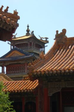 Roof With Details