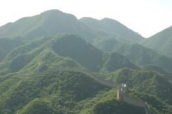 A Snake Along the Mountains
