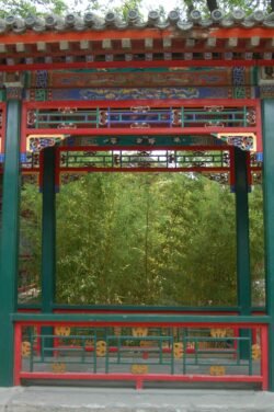 Corridor through the Bamboo Grove