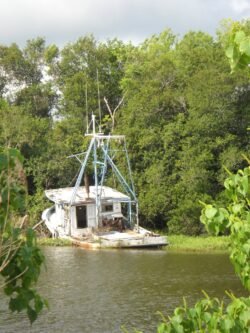 Old Louisiana Shrimp Boat