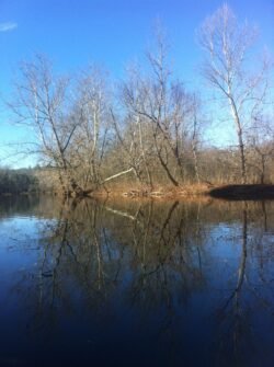 Reflections in a Lake