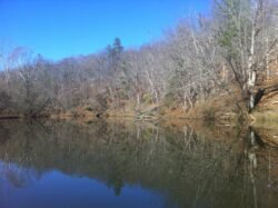 Reflections in a Lake