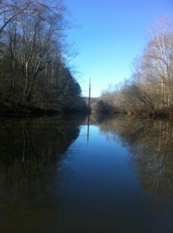 Reflections in a River