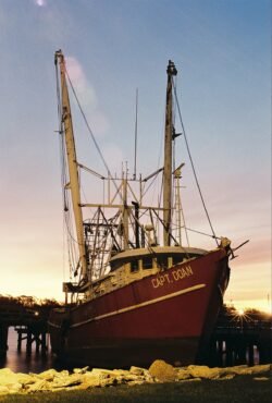 Shrimp Boat Morning