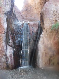 The Ladder