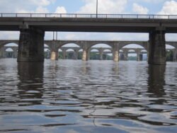 Nested Bridges