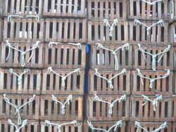 Stacked Crates