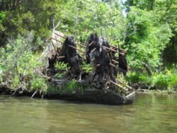 Shipwreck in Mallows Bay