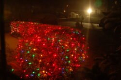 Christmas Lights