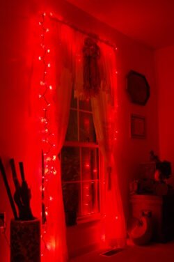 Red Window
