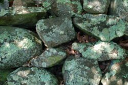 Old Stone Wall