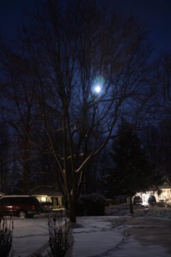 The Moon So Bright
