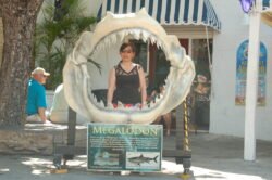 Winnie standing behind the skeletal jaws of a giant shark.