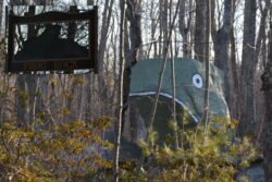 A large boulder shaped and painted to resemble a frog, named "Frog Rock," and located on Rte 44 in Connecticut, United States