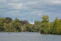 Windmill Through the Trees