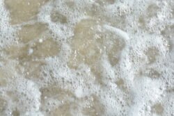 Sea Foam