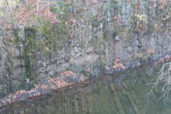 Reflections of 15 Mile Creek