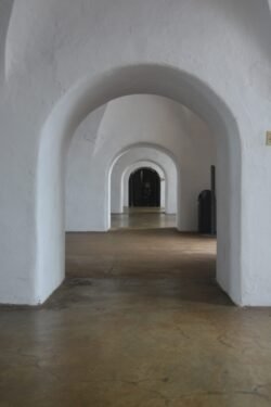 Looking Through the Doors