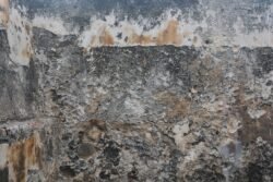 The Texture of Old Stone