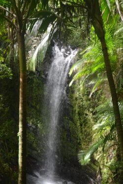 La Mina Waterfall, El Yunque National Park