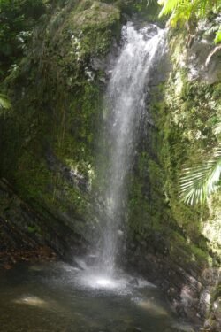 La Mina Waterfall, El Yunque National Park