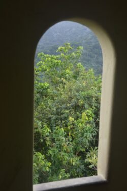 Looking Out at the Rain Forest From Yokahu Tower