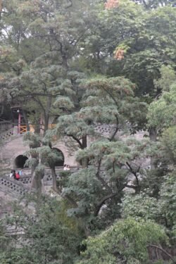 A Garden at Huaqing Palace Looking through sculpted trees at elaborate stone bridges and walkways in a traditional chinese design