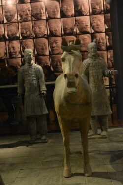 Detailed Terracotta Warrior