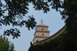 View of Wild Goose Pagoda from the Temple Grounds, Xi'an, China Looking through trees and a pavilion rooftop to a View of Wild Goose Pagoda, Xi'an, China