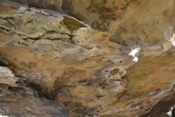 Kentucky Rock