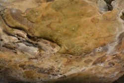 Kentucky Rock