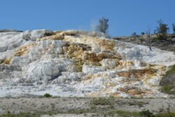 Images of Mt Terrace, Yellowstone Park