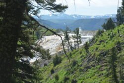 View of Mt Terrace at Yellowstone Park
