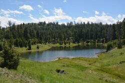 A Field with a Pond, Yellowstone Park