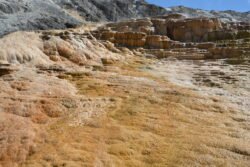 Images of Mt Terrace, Yellowstone Park