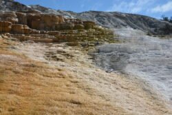 Mount Terrace at Yellowstone Park