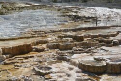 Images of Mt Terrace, Yellowstone Park