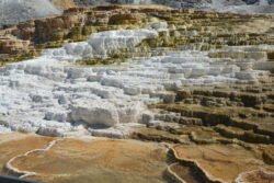Images of Mt Terrace, Yellowstone Park