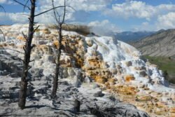 Images of Mt Terrace, Yellowstone Park