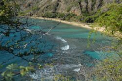 The Reef at Hanauma Bay