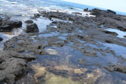Tidal Pools of Makua Beach, Oahu, Hawaii