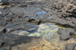 Tidal Pools on Lava Rock