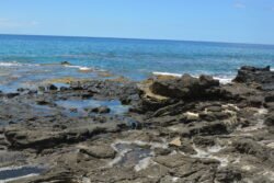 Tidal Pools of Makua Beach, Oahu, Hawaii