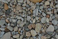 On The Rocks with a Shell