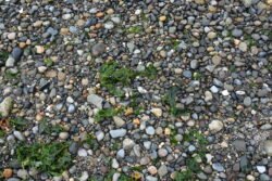 On Discovery Beach, Seattle, Washington